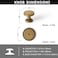Yanxia Set of 6 Sleek Champagne Bronze Cabinet Knobs Cylindrical Stem Design with Studded Backplate Modern Kitchen Drawer Handles Minimalist Dresser Hardware