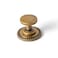 Yanxia Set of 6 Sleek Champagne Bronze Cabinet Knobs Cylindrical Stem Design with Studded Backplate Modern Kitchen Drawer Handles Minimalist Dresser Hardware