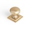 Goo-Ki GooKi Champagne Bronze Zinc Alloy Cabinet Knob with Backplate Single Hole Center Cabinet Pull Hardware for Bedroom Kitchen 6 Pack8611F32