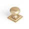 Goo-Ki GooKi Champagne Bronze Zinc Alloy Cabinet Knob with Backplate Single Hole Center Cabinet Pull Hardware for Bedroom Kitchen 6 Pack8611F32