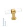 Goldenwarm 10 Pack Crystal Drawer Knobs Gold Cabinet Knobs Single Hole T Bar Lucite Acrylic Kitchen Hardware for Kitchen Cupboard Bathroom