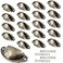 Bivethoi 20 Pack Cabinet Bin Cup Pulls Antique Bronze Half Moon Drawer Pulls 258 Inch 67mm Hole Center Dresser Pull Hardware Shell Pull Handles Vintage Metal Cupboard Handles for Kitchen Closet