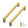 Ravinte 10 Pack Square Cabinet Pulls 614 Inch Brushed Brass Kitchen Cabinet Handles Gold Kitchen Hardware for Cabinet Gold Drawer Pulls Drawer Handles Come with Screwdriver