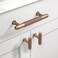 Asidrama 10 Pack 375 Inch96mm Dark Champagne Bronze Kitchen Cabinet Handles Cabinet Pulls Kitchen Cabinet Hardware for Cupboard Drawer Pulls