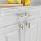 Asidrama 10 Pack 3 Inch76mm Brushed Satin Nickel and Gold Kitchen Cabinet Handles Cabinet Pulls Kitchen Cabinet Hardware for Cupboard Drawer Pulls