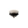 hansgrohe 50001821 Sink Drain 114Inch Brushed Nickel