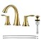 PARLOS Widespread Bathroom Faucet 2 Handles with Pop Up Sink Drain and cUPC Faucet Supply Lines Brushed Gold Demeter 1364708