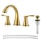 PARLOS Widespread Bathroom Faucet 2 Handles with Pop Up Sink Drain and cUPC Faucet Supply Lines Brushed Gold Demeter 1364708