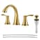 PARLOS Widespread Bathroom Faucet 2 Handles with Pop Up Sink Drain and cUPC Faucet Supply Lines Brushed Gold Demeter 1364708