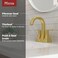 Pfister Bruxie Bathroom Sink Faucet 4Inch Centerset 2Handle 3Hole NSF Brushed Gold Finish LF048BIEBG