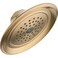 Delta Faucet RP48686CZ SingleSetting Showerhead Champagne Bronze
