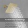 Heable Brushed Gold Shower System with High Pressure 8 Rainfall Shower Head Handheld Shower head Bathroom Luxury Rain Mixer Shower Combo Set Wall Mounted Shower Faucet Roughin Valve and Trim Kit