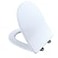 TOTO TSS247R01 Slim DShape Closedfront Toilet Seat with SoftClose Cotton