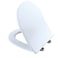 TOTO TSS247R01 Slim DShape Closedfront Toilet Seat with SoftClose Cotton