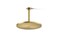 Kohler 136892MB Contemporary Round 10 singlefunction rainhead 25 gpm Vibrant Brushed Moderne Brass