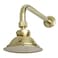 Kingston Brass P10PBCK Victorian 41316Inch Round Raindrop Brass Shower Head with 12Inch Shower Arm Combo in Polished Brass
