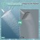 SR SUN RISE Luxury 10 Inch Large Square Stainless Steel Shower Head High Pressure Rainfall Showerhead Ultra Thin Water Saving Polished Chrome