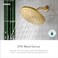 Moen Isabel Brushed Gold 8 EcoPerformance TwoFunction Showerhead with Immersion Technology S1311EPBG