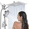 Ashwanth Shower Head10Rain Shower Head with Handheld Spray Combo and Adjustable Extension Arm3Way Flow RegulatorShower SystemHigh Pressure Rain Fall HoseChrome