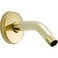 Delta Faucet U4993PB Shower Arm and Flange Polished Brass