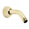 Speakman S2520PB Clean and Simple Arm and Flange for Stylish Bathroom Dcor 55 inches Polished Brass
