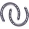 GGTYHAO Cast Iron Horseshoefor Good Lucky Durable Cast Iron Medium Horseshoe 5 Holes On Each Side for Wall Hung