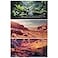 COMSUN 3 Pack Terrarium Background 36x18 inches Polyester Reptile Background Cloth Terrarium Backgrounds Gobi Sunshine Cactus Stone Green Tree Fern Stream Backgrounds