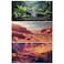 COMSUN 3 Pack Terrarium Background 36x18 inches Polyester Reptile Background Cloth Terrarium Backgrounds Gobi Sunshine Cactus Stone Green Tree Fern Stream Backgrounds