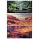 COMSUN 3 Pack Terrarium Background 36x18 inches Polyester Reptile Background Cloth Terrarium Backgrounds Gobi Sunshine Cactus Stone Green Tree Fern Stream Backgrounds