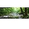 OERJU 48x18 Inch Rainforest Terrarium Background Deep Forest Tank Aquarium Background With Sunny Stream Stones Trees Grass Tropical Plants Durable Polyester