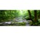 OERJU 48x18 Inch Rainforest Terrarium Background Deep Forest Tank Aquarium Background With Sunny Stream Stones Trees Grass Tropical Plants Durable Polyester