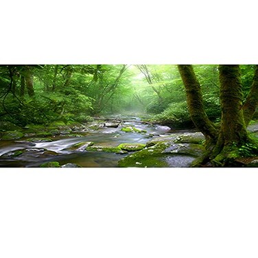 OERJU 48x18 Inch Rainforest Terrarium Background Deep Forest Tank Aquarium Background With Sunny Stream Stones Trees Grass Tropical Plants Durable Polyester