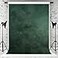 Kate 6510ft Green Backdrop Abstract Muslin Dark Green Background Gradient Portrait Backdrop for Photographer Headshot Microfiber Photo Studio Props