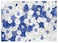 DHXXSC 7X5FT Floral Backdrop Blue and White Roses Paper Flower Wall Decor Thin Vinyl Material Wedding Party Photography Background DH87