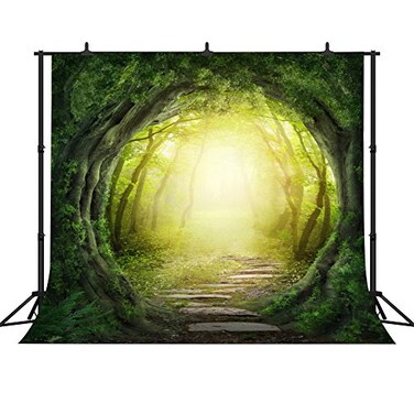 FHZON 10x10ft Dreamy Magical Backdrop Dream Fantasy Forest Photography Video Studio Photo Backdrop Props FH121