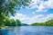 DZJYQ 10x65ft3x2m Gorgeous Tropical Summer Blue Sky White Cloud Green Forest Tree Lake Beautiful Scenery Wedding Birthday Party Portrait Studio Photography Shooting Backdrop Background 385