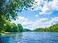 DZJYQ 65x5ft2x15m Gorgeous Tropical Summer Blue Sky White Cloud Green Forest Tree Lake Beautiful Scenery Wedding Birthday Party Portrait Studio Photography Shooting Backdrop Background 385