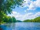 DZJYQ 65x5ft2x15m Gorgeous Tropical Summer Blue Sky White Cloud Green Forest Tree Lake Beautiful Scenery Wedding Birthday Party Portrait Studio Photography Shooting Backdrop Background 385
