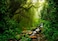 Fmarui Tropical Jungle Backdrop Rain Forest Evergreen Forest Small Waterfall Photography Background Birthday Party Decoration Photo Booth Banner 10x8FT