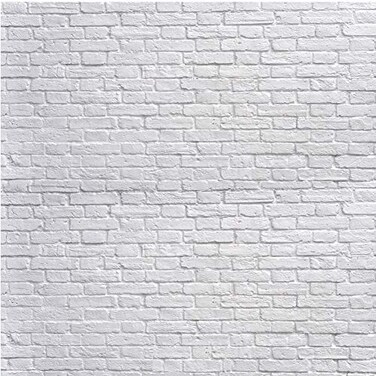 SJOLOON White Brick Wall Backdrop White Brick Photo Backdrop Thin Vinyl Photography Background Studio Prop 10931 10x10FT