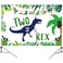 Miruwtog Dinosaur 2nd Birthday Party Backdrop Two Rex Decorations for Boys Party Supplies for 2 Year Old