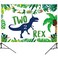 Miruwtog Dinosaur 2nd Birthday Party Backdrop Two Rex Decorations for Boys Party Supplies for 2 Year Old