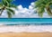 SJOLOON Summer sea Backdrop Tropical Beach Plants Photo Backdrop Hawaiian Ocean Blue Sky Background for Theme Party Supplies Studio Props 126927x5FT