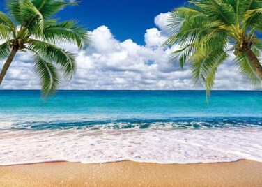 SJOLOON Summer sea Backdrop Tropical Beach Plants Photo Backdrop Hawaiian Ocean Blue Sky Background for Theme Party Supplies Studio Props 126927x5FT