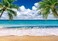 SJOLOON Summer sea Backdrop Tropical Beach Plants Photo Backdrop Hawaiian Ocean Blue Sky Background for Theme Party Supplies Studio Props 126927x5FT