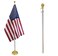 Flags Importer FlagsImp 8 Foot Aluminum Silver Pole with Ball
