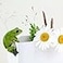 Top Collection Miniature Fairy Garden and Terrarium Frog Flower Pot and Vase Hugger Mini