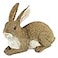Design Toscano QM200861 Bashful The Bunny Lying Down Rabbit Outdoor Garden Statue 10 Inch full color