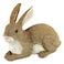 Design Toscano QM200861 Bashful The Bunny Lying Down Rabbit Outdoor Garden Statue 10 Inch full color