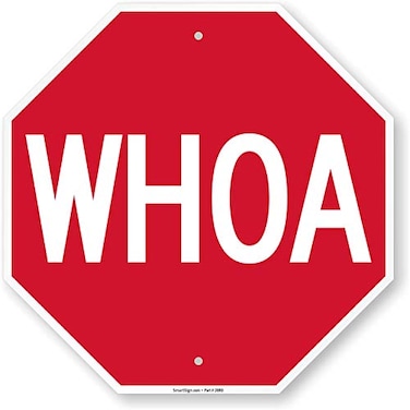 SmartSign K6934AL18o18 WHOA Funny Stop Sign By 18 x 18 Aluminum White on Red